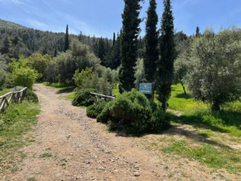 Athena's Journey 2025 Heldinnenspaziergang Natur Athens