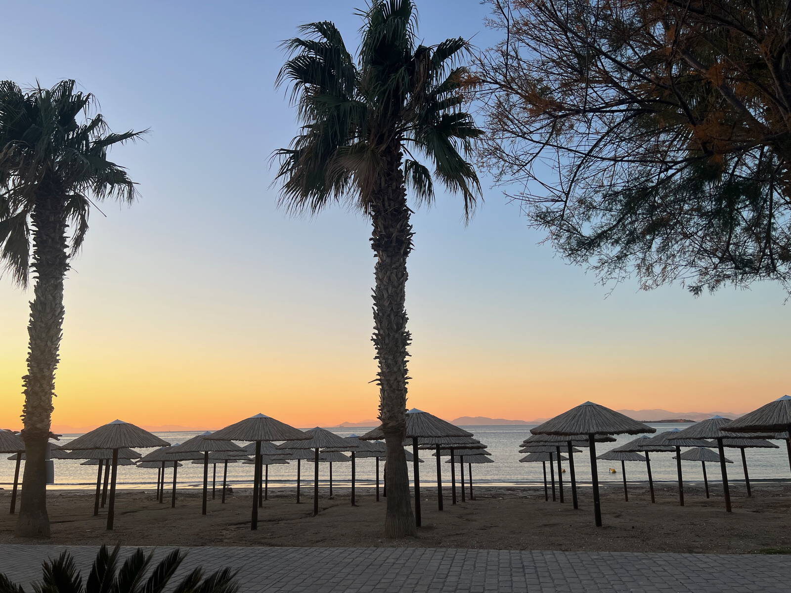 Athena's Journey 2025 kavouri-beach palm umbrellas