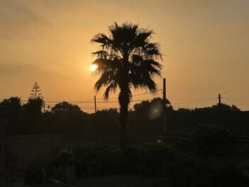 Heldinreise 2022 Mallorca Abendstimmung