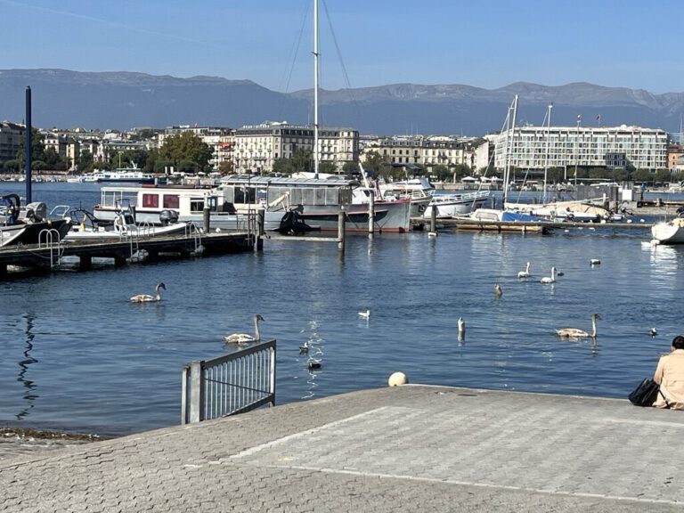 Heldinreise 2023 Genf See