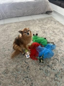 Heldinreise 2025 Athen Atelier Maskottchen