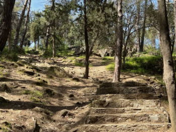 Heldinreise 2025 Athen Walk 12